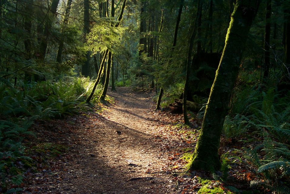 Lake Minnekhada Trail