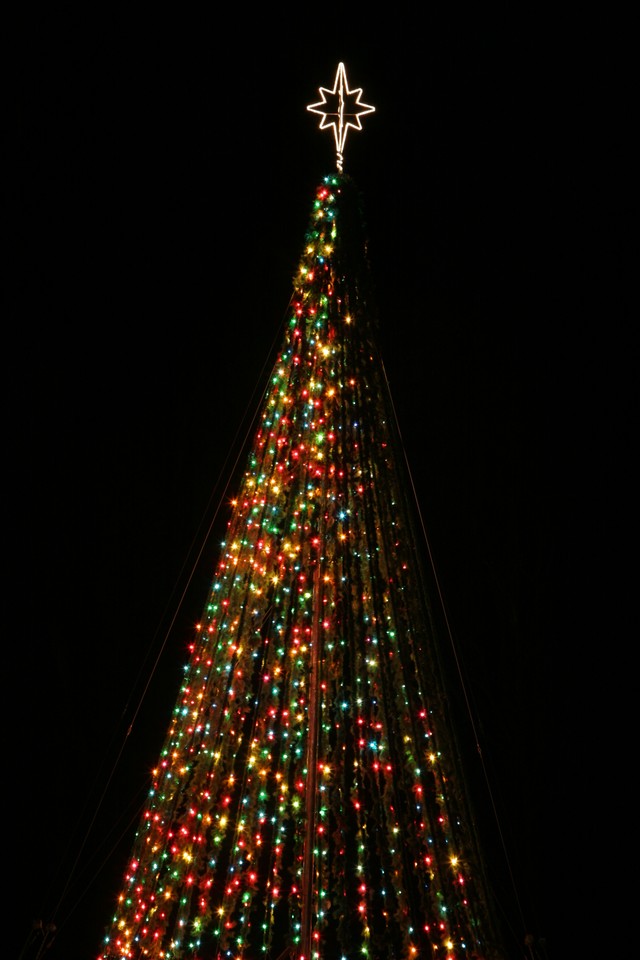 Tree of Lights