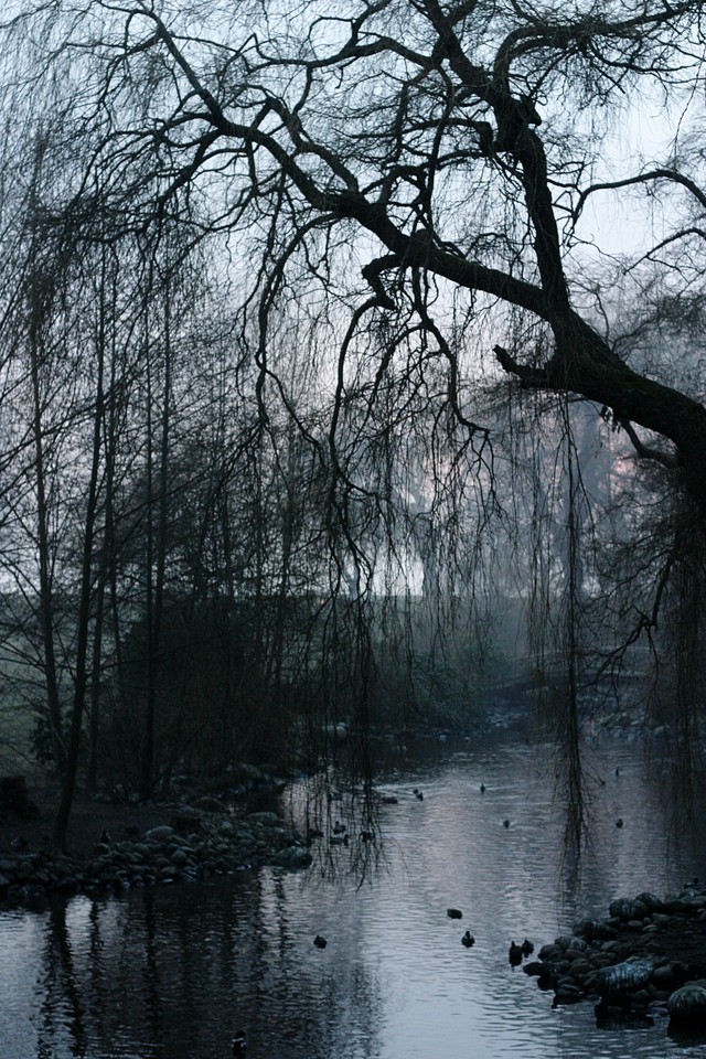 Lost Lagoon