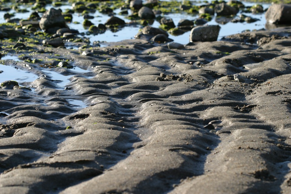 Low Tide