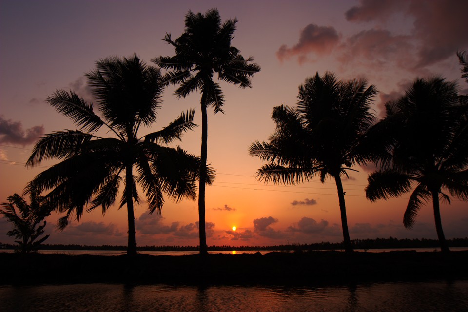 Sunset on Vembanad