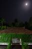 Moonlight at Tharavadu