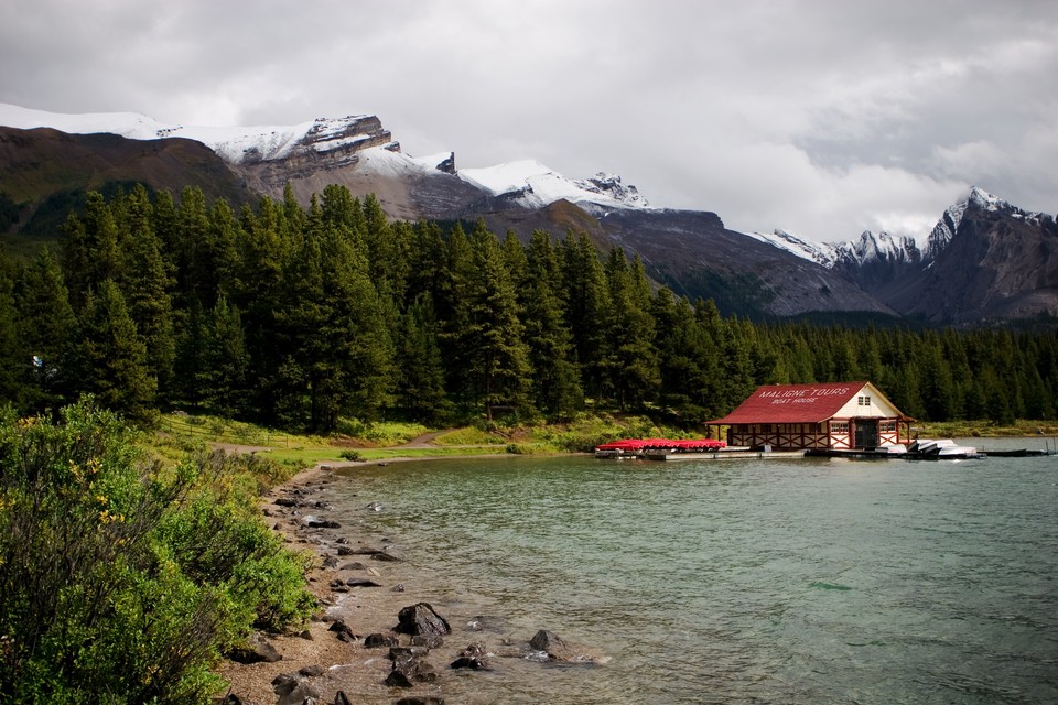 Maligne Tours (I)