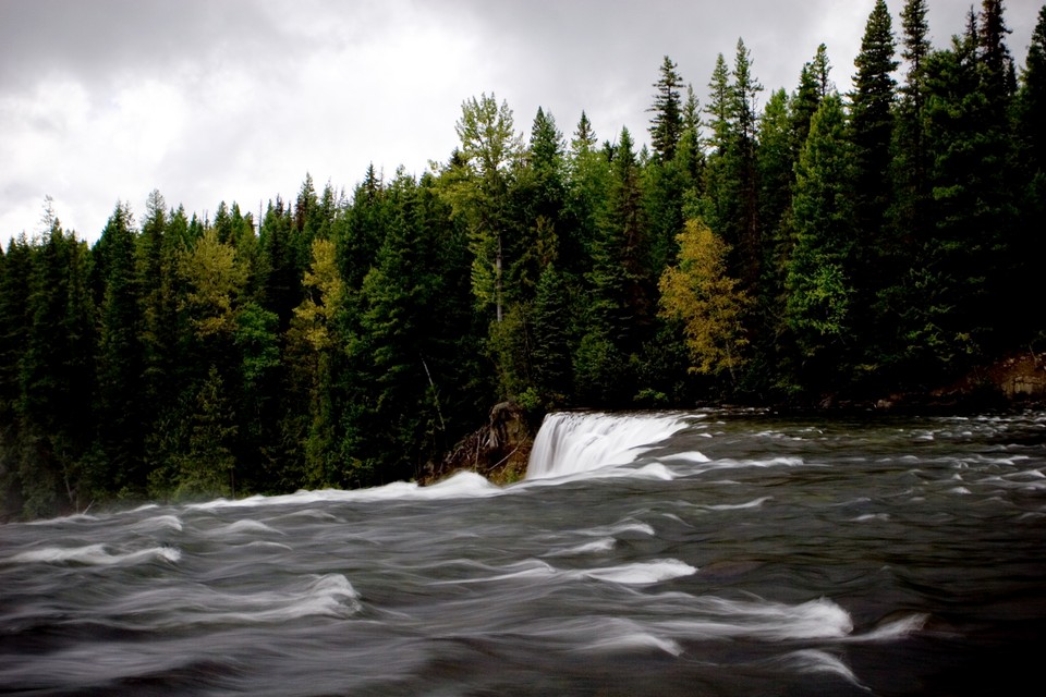 Dawson Falls