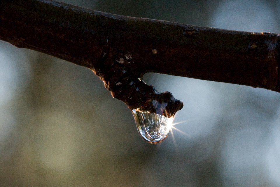 Water Droplet