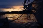 Coal Harbour Sunset