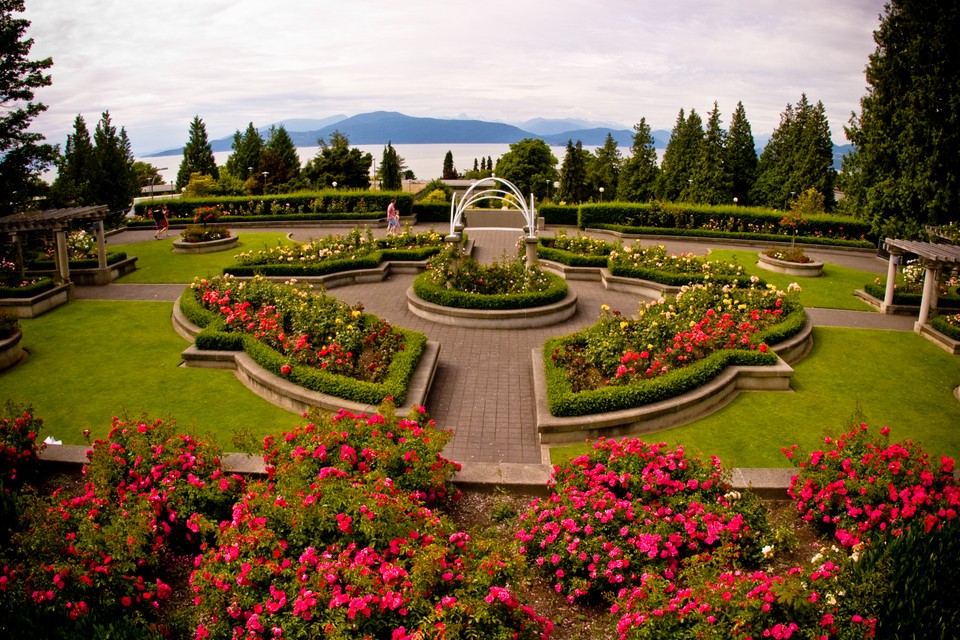 A Garden with a View