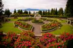 A Garden with a View