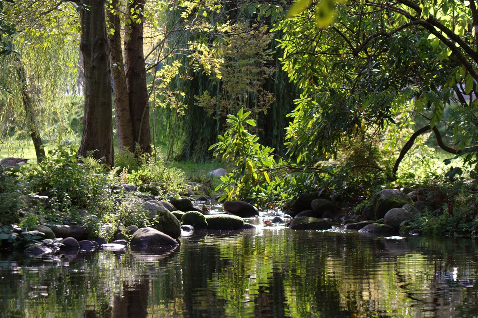 A Still Afternoon at Lost Lagoon