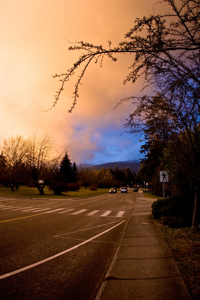 Sunsetting on the Boulevard