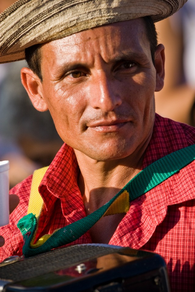 The Accordion Player