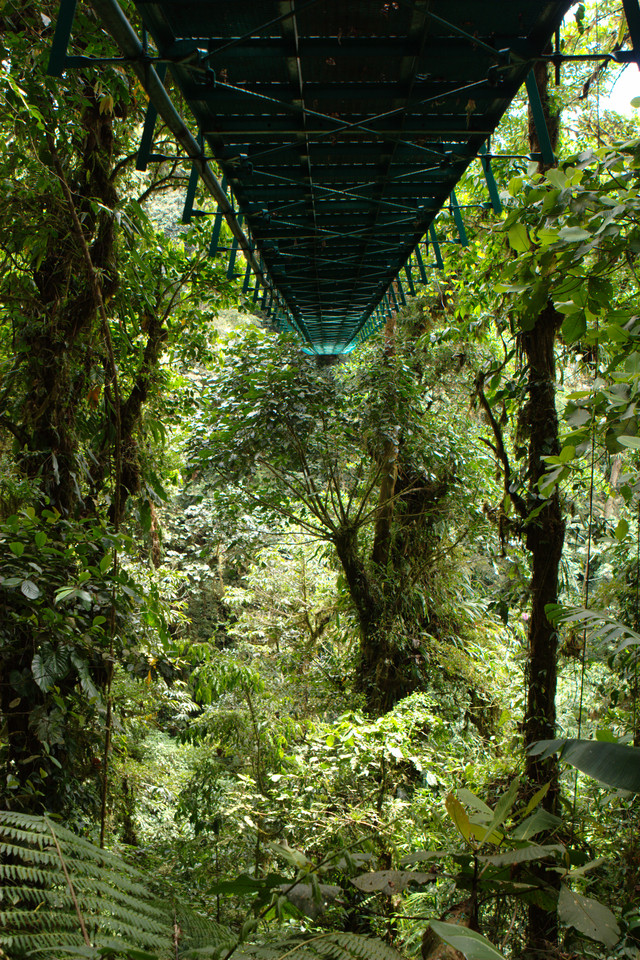 Under the Bridge