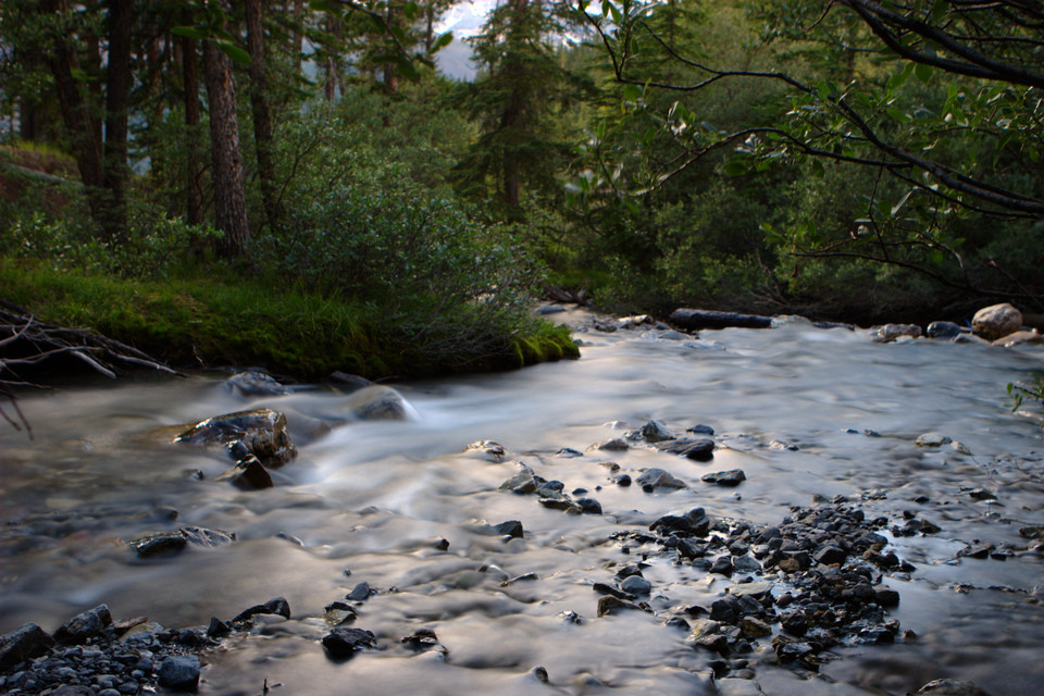 Tangle Creek