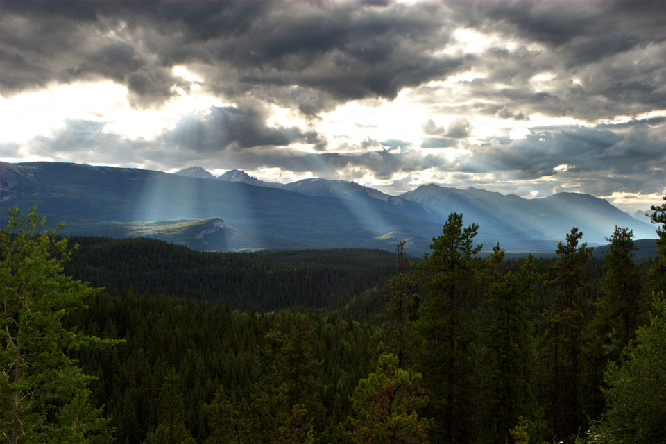 Light on the Icefields