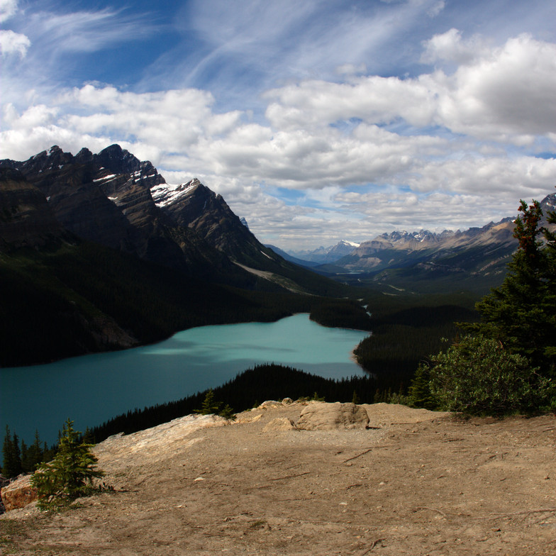 Peyto Lake II