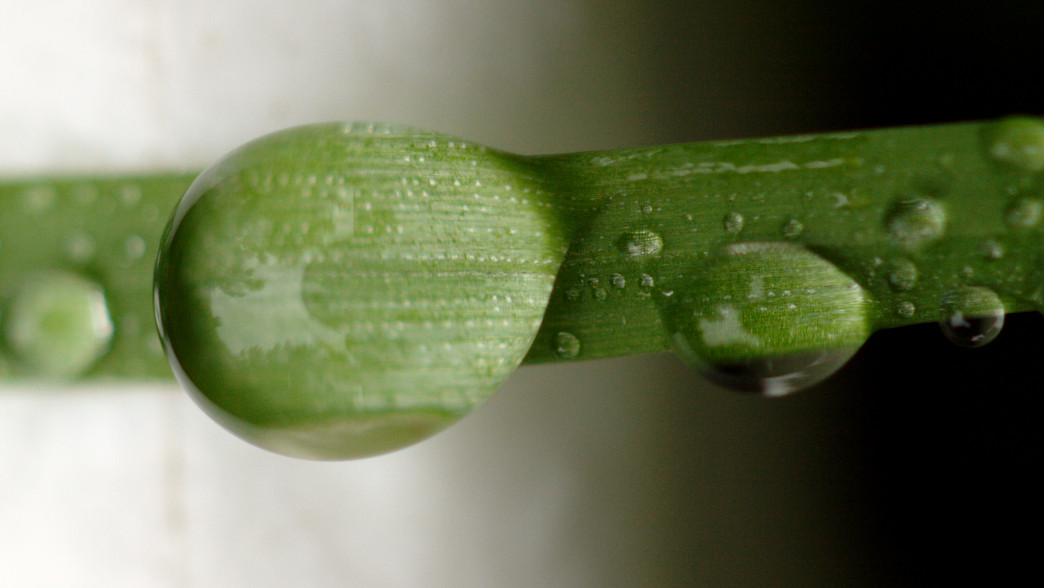 Building the Droplet