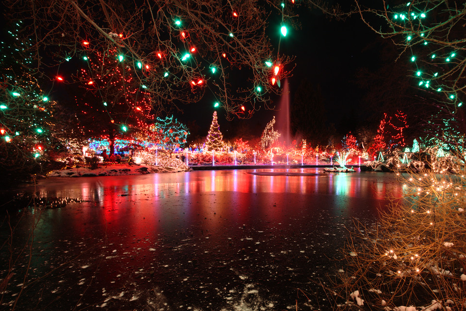 A Festive Fountain