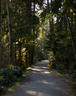 Beaver Lake Trail