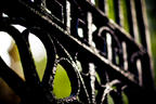 Wrought Iron Intricate