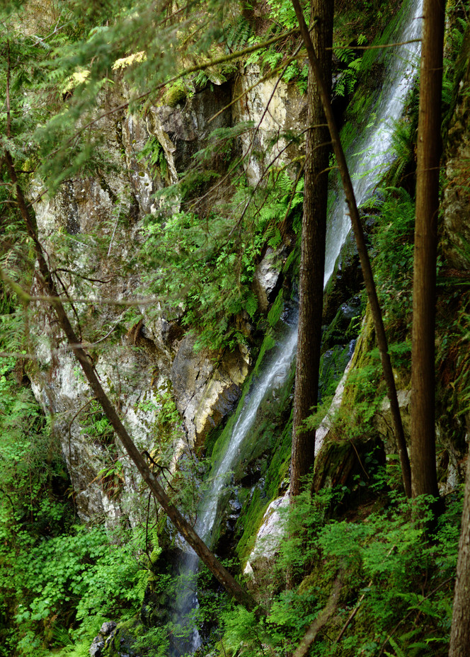 Falls at Lynn Canyon