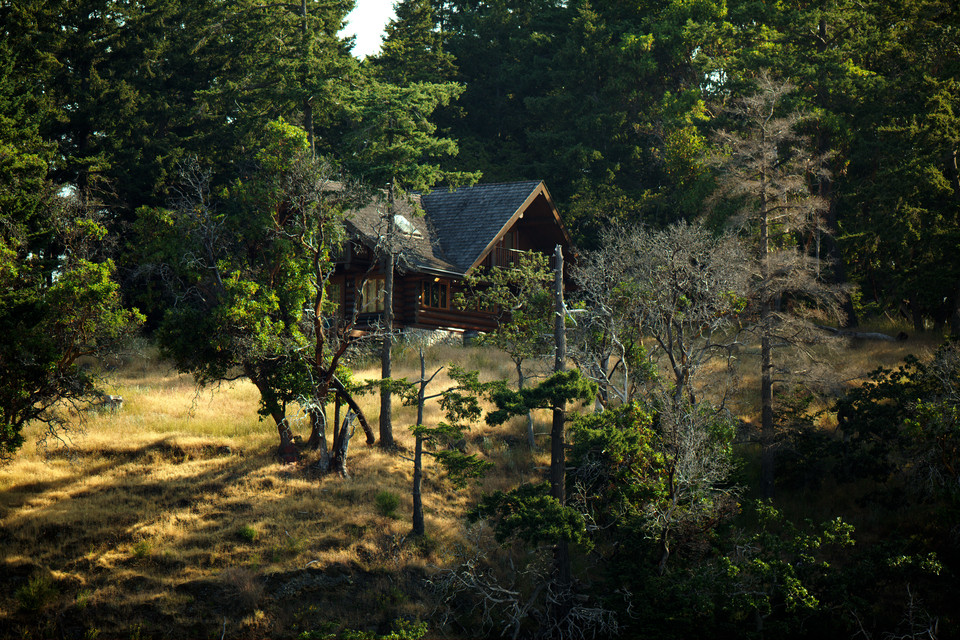 Log Cabin in the Hills