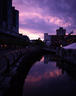 Violet Skies over Coal Harbour