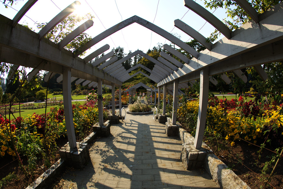 Rose Garden Trellis