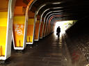 Under a Rail Bridge