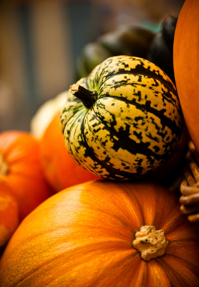 Piled Pumpkins